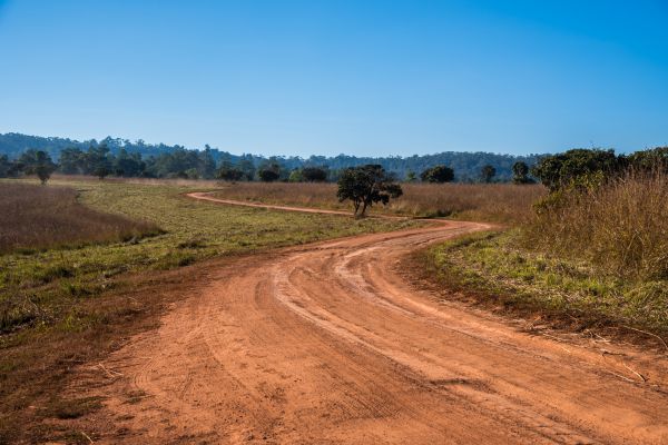 Dirt Driveway Repair in Bryan