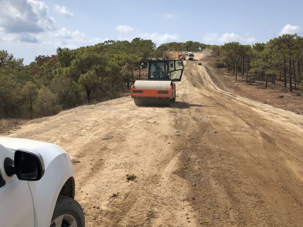 Cost of Driveway Grading in Bryan