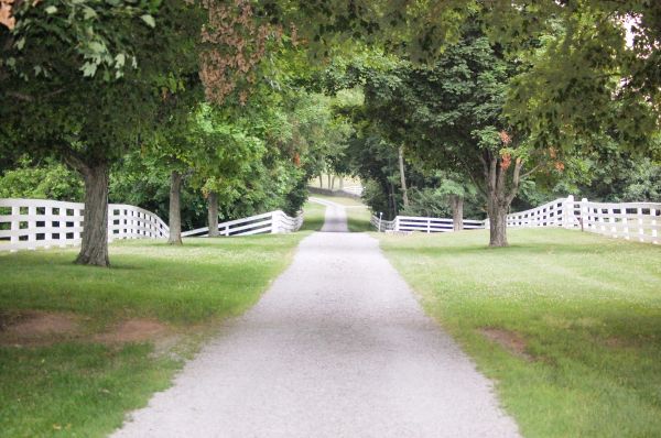 Cost of Gravel Road Installation in Bryan