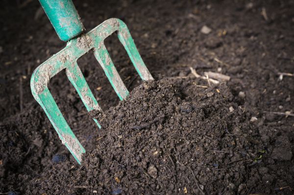 Cost of Topsoil Spreading in Bryan