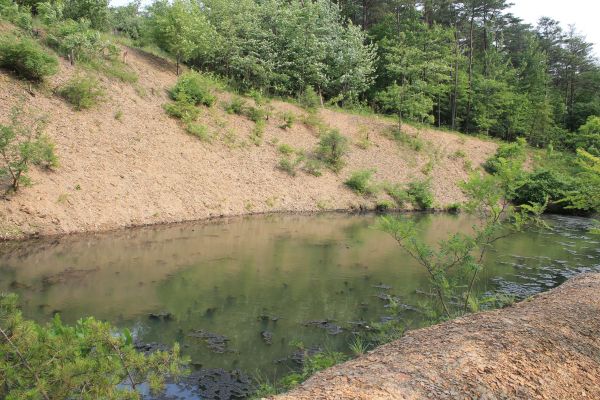 Cost of Pond Erosion Repair in Bryan