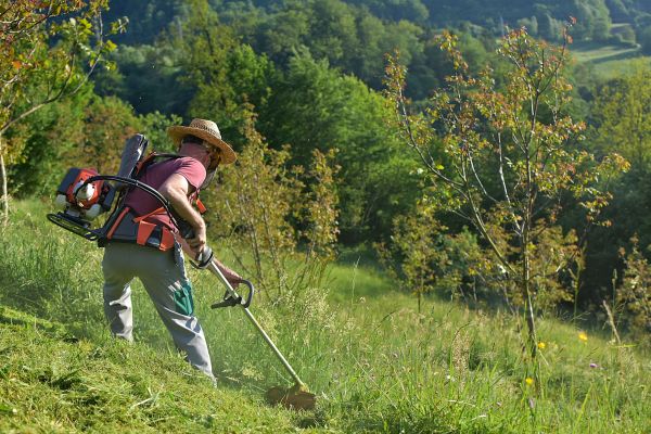 Cost of Slope Trimming in Bryan